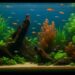 Unterwasserwelt Aquarium