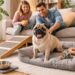 Mops-freundliche Wohnung mit gemütlichem Hundebett, Rampe zum Sofa und rutschfesten Näpfen in einem hellen, modern eingerichteten Wohnzimmer mit Mops.