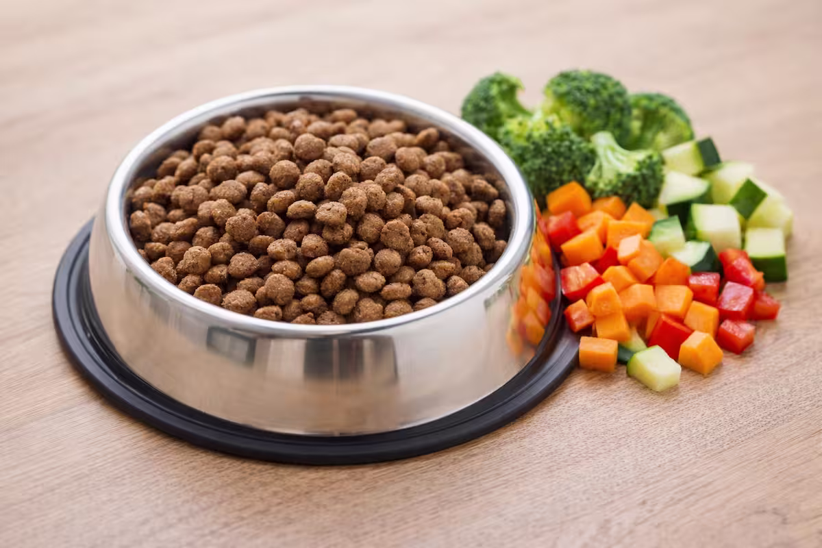 Futternapf mit Trockenfutter und kleinen Gemüse-Stücken daneben